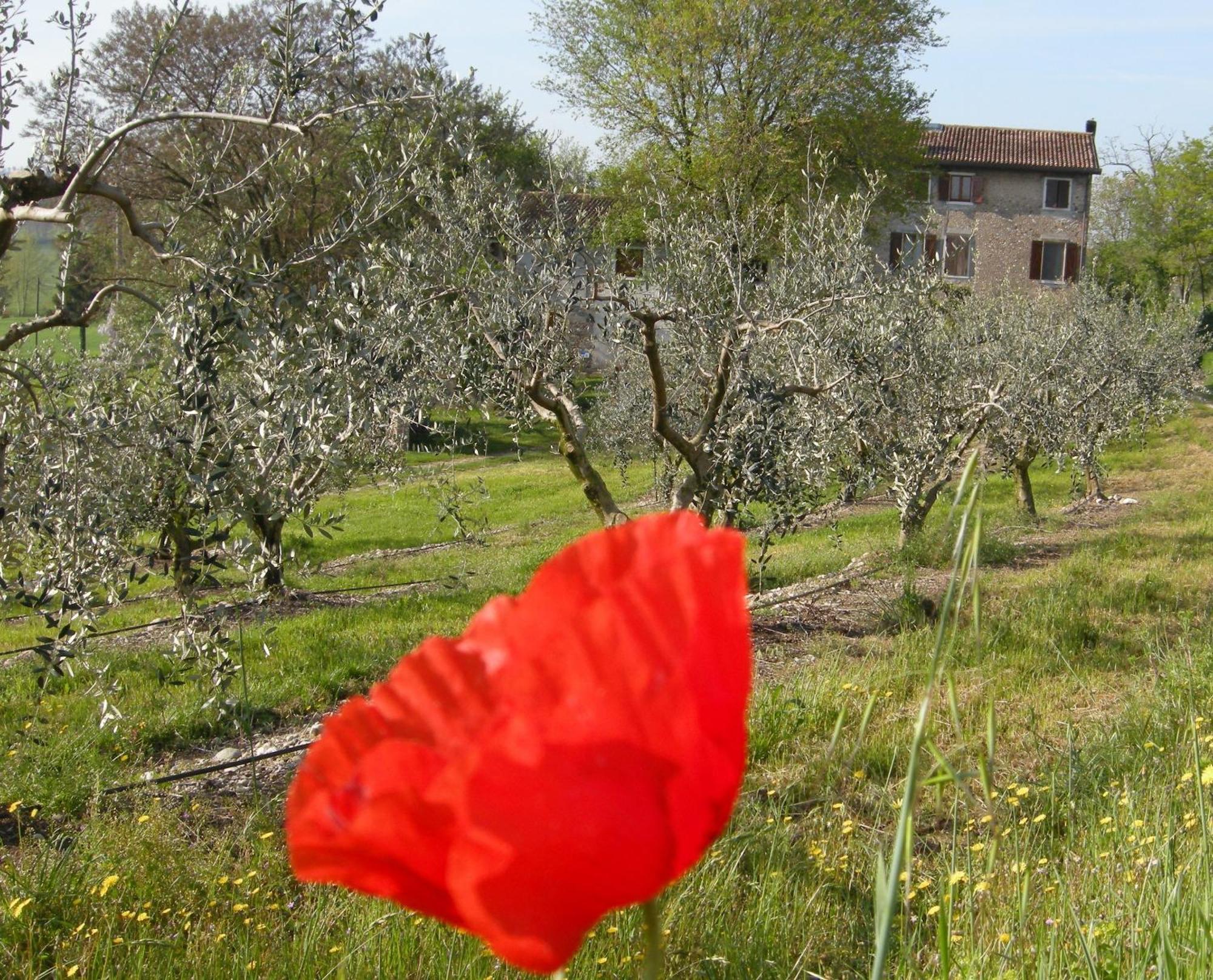 I Vigneti Bed & Breakfast Salionze Exteriér fotografie